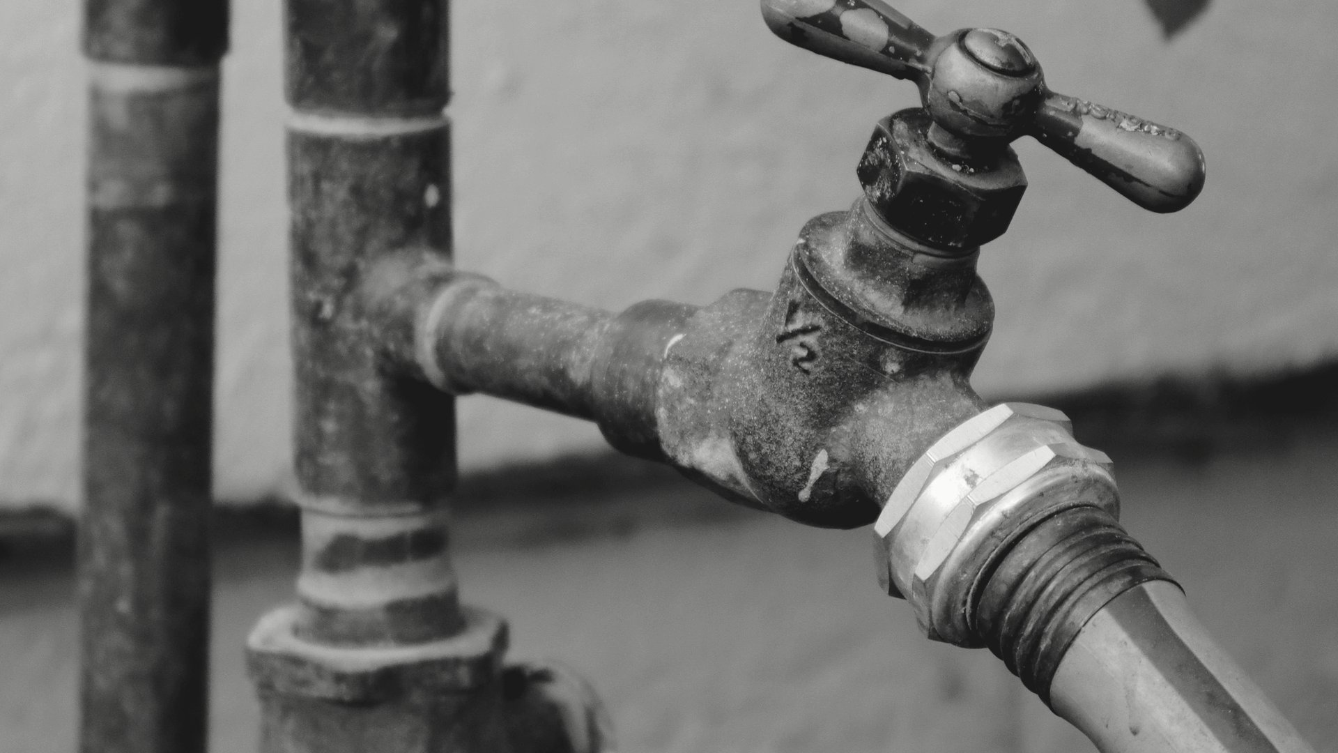 A plumber feeding a fiber-optic sewer camera into a cleanout at a pre-1960s Hancock Park property — the kind of inspection a general home inspector never performs.