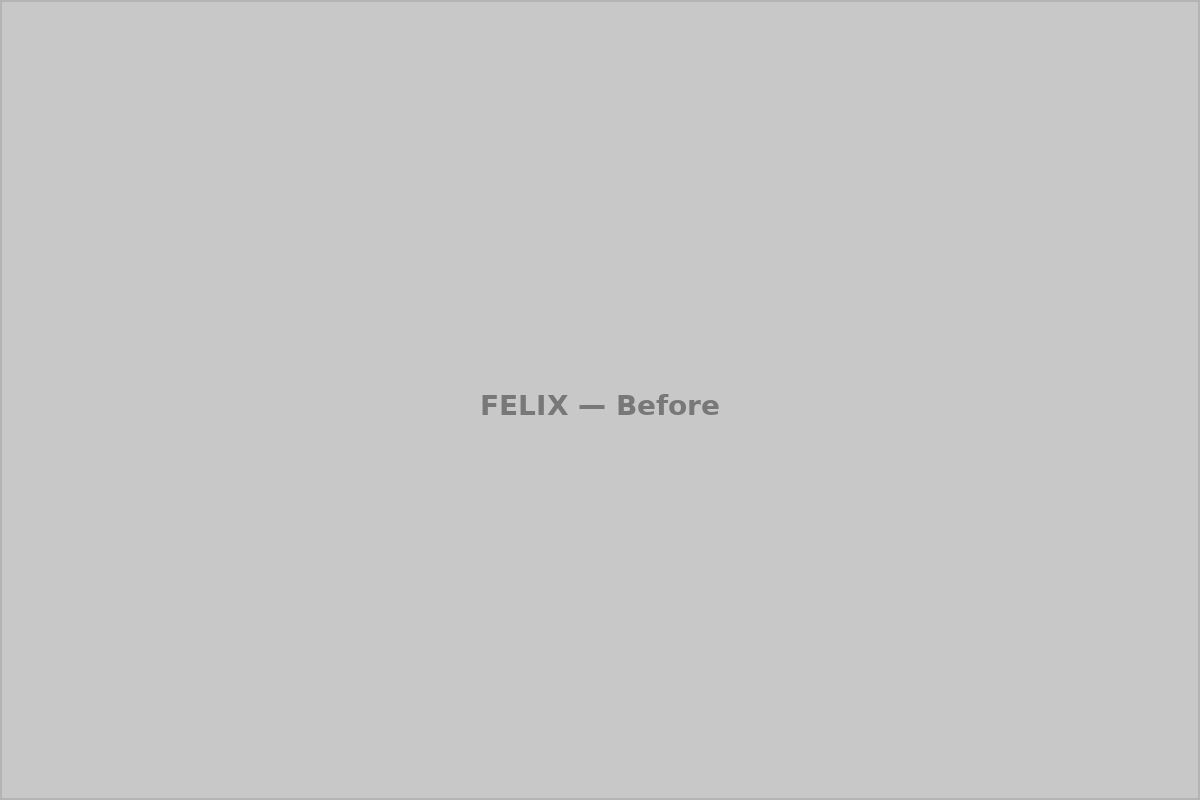 Felix on Fairfax — site before development