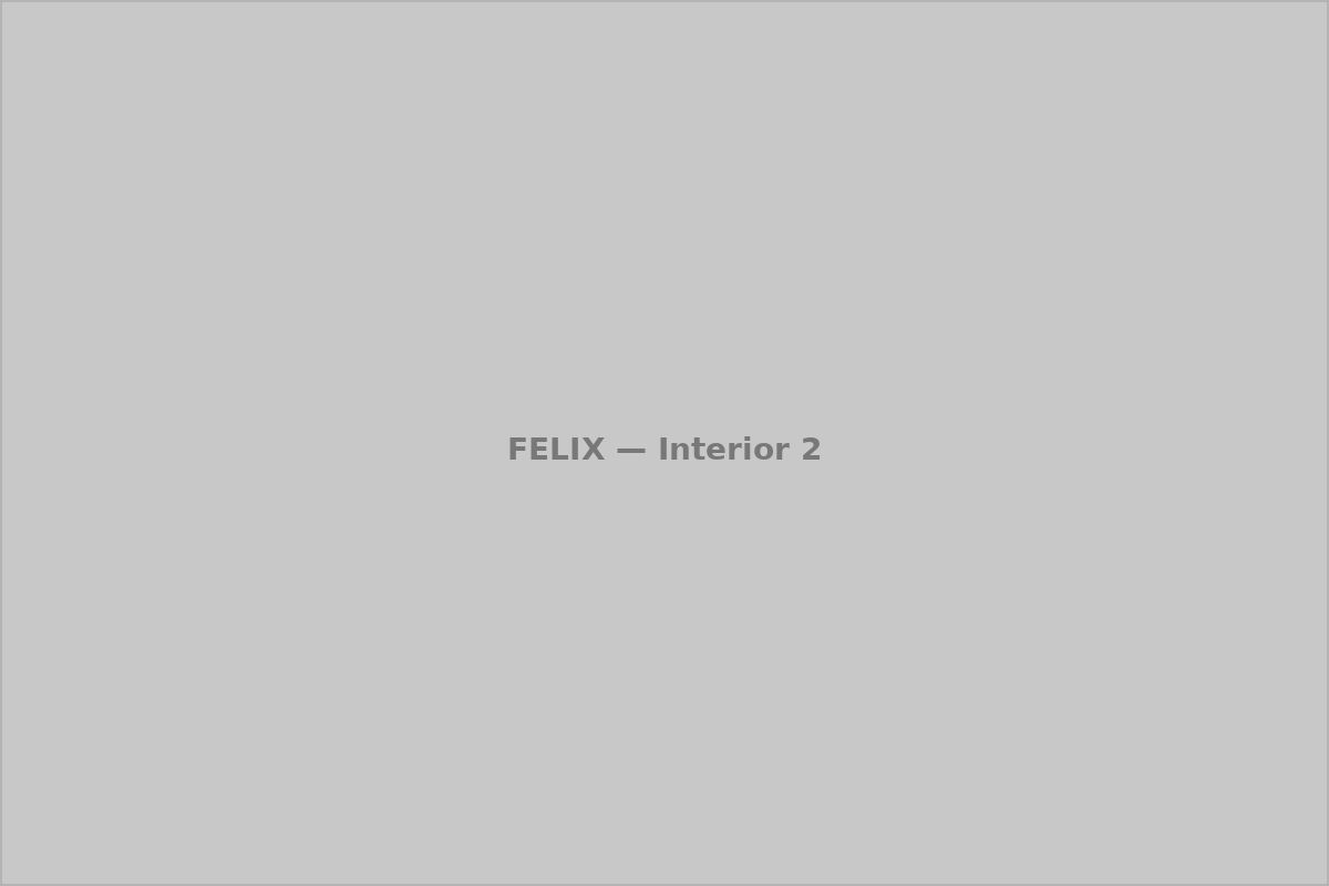 Felix on Fairfax — interior finishes
